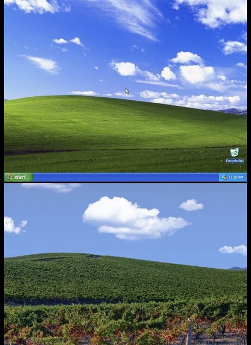 Dr. Lemma tweet media