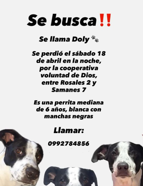 Alerta me perdi tweet media