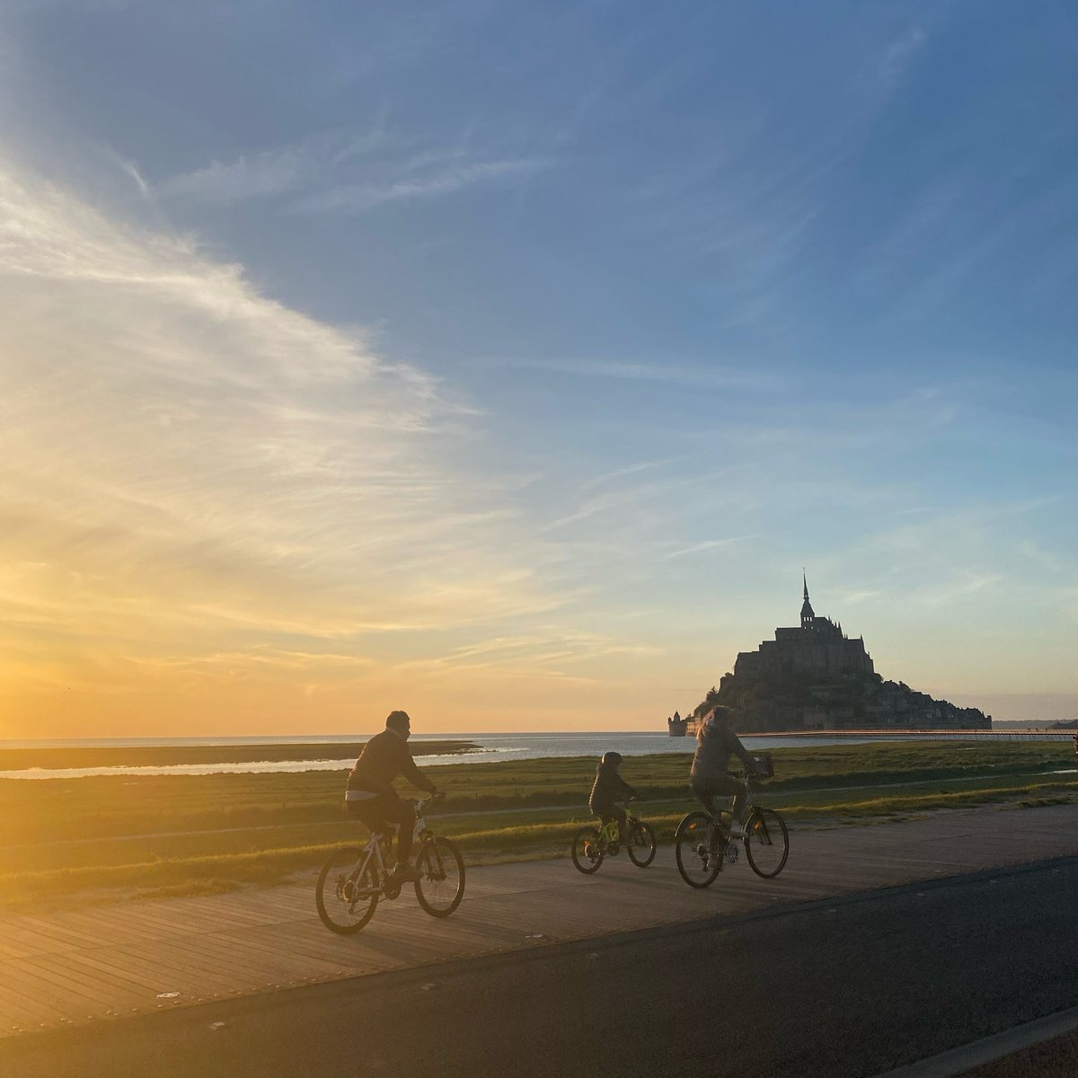 🌹🇻🇦 tweet media