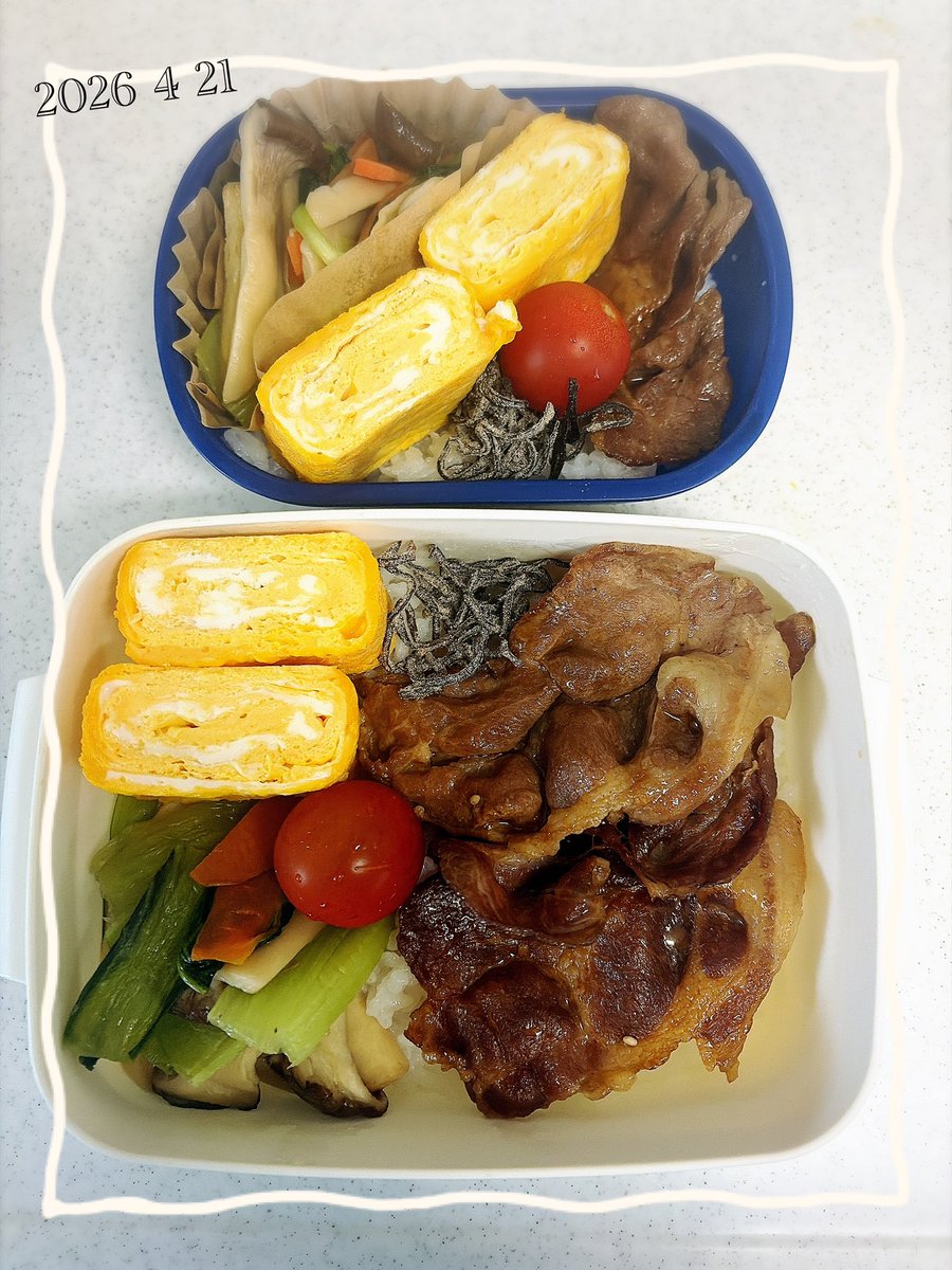 けこけこ tweet media