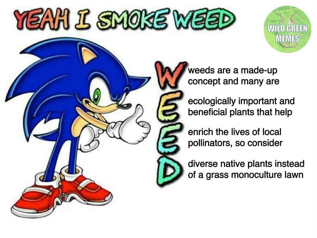 Wormest Worm tweet media