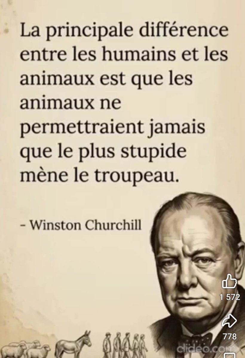 Hali Aziz tweet media