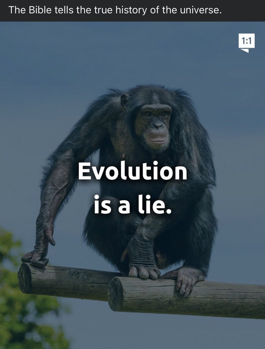 Not Evolution tweet media
