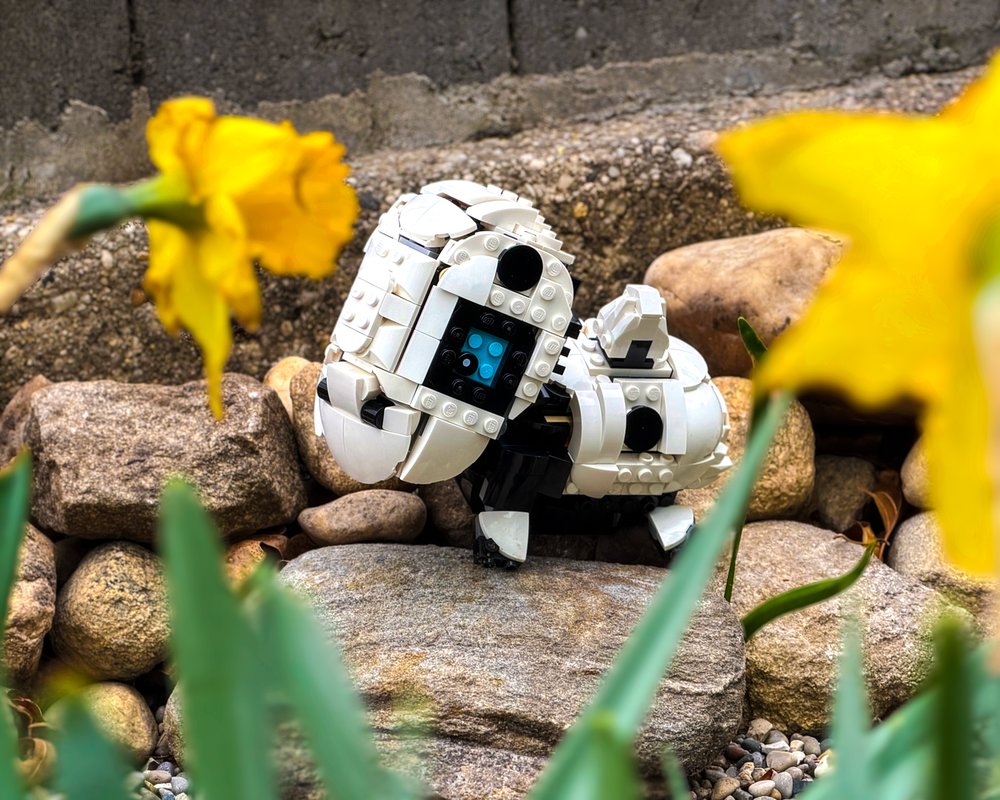 Rebrickable's tweet photo. Turn your Wild Animals: Panda Family into the Poke-mon Aron Alternate Build Set 31165 by SawyerBrickTime https://t.co/sl49ZN8HTp #lego #rebrickable #legomoc #alternatebuild https://t.co/6Fu9dTeCTy