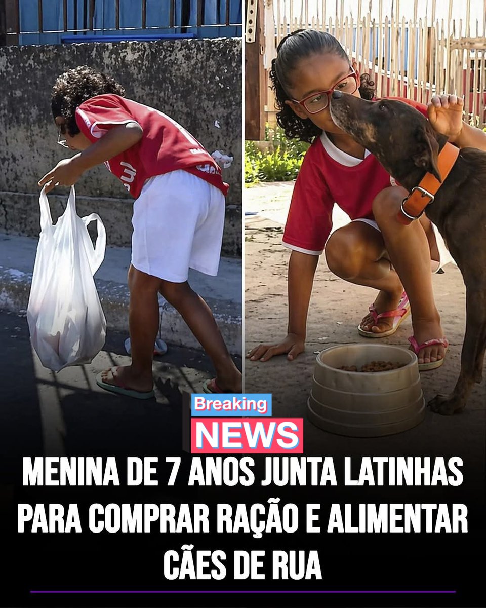 Isabel, uma menina de 7 anos de Porto Alegre, sempre demonstrou um grande carinho por cães de rua, mas sua família não tinha condições financeiras de ajudar os animais como ela gostaria.