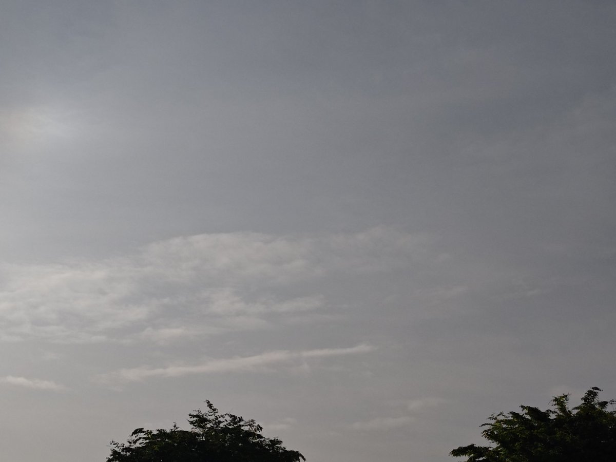 速水@momoka@sairi tweet media