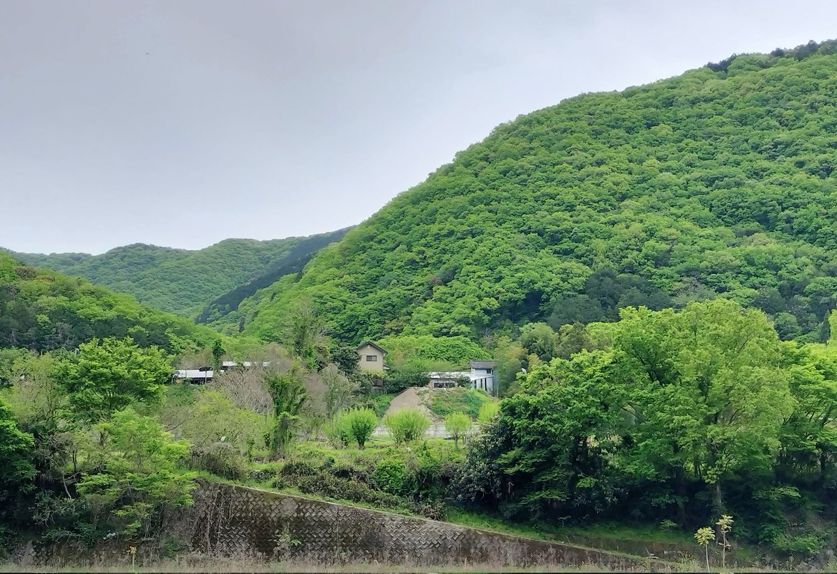 習性なのか、先日撮影した鳥たちもほぼ等間隔で止まっていた。