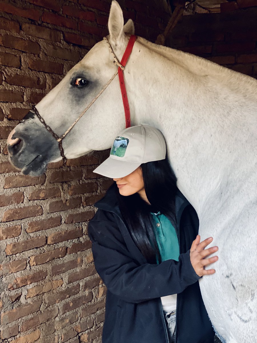 Laura9_12's tweet photo. EL CLON❤️‍🔥😍 
un sueño este caballito https://t.co/4bM4qNyFpx