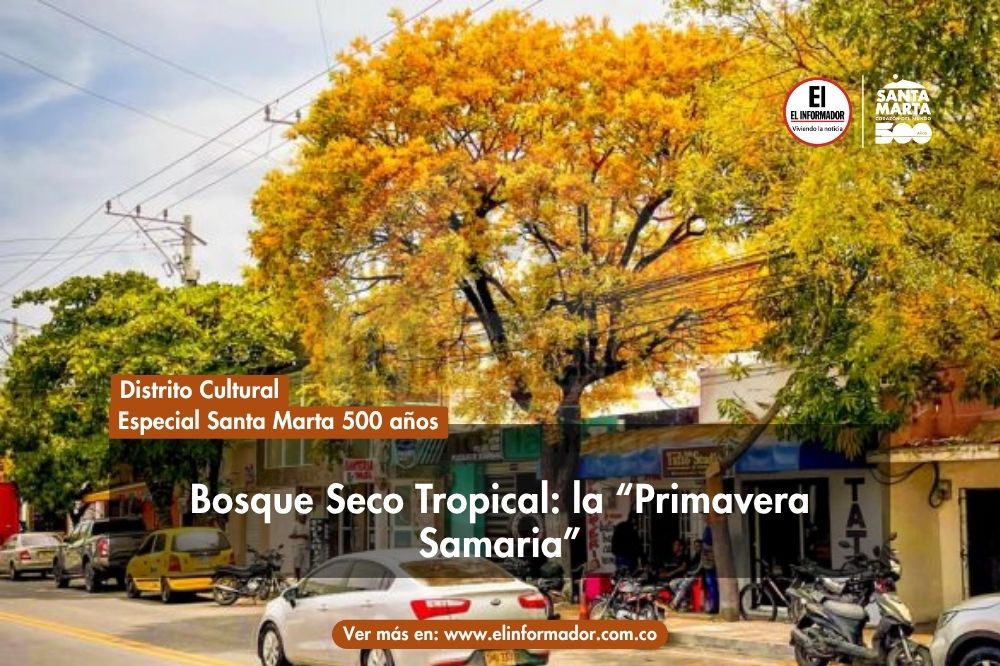 El Informador Santa Marta tweet media