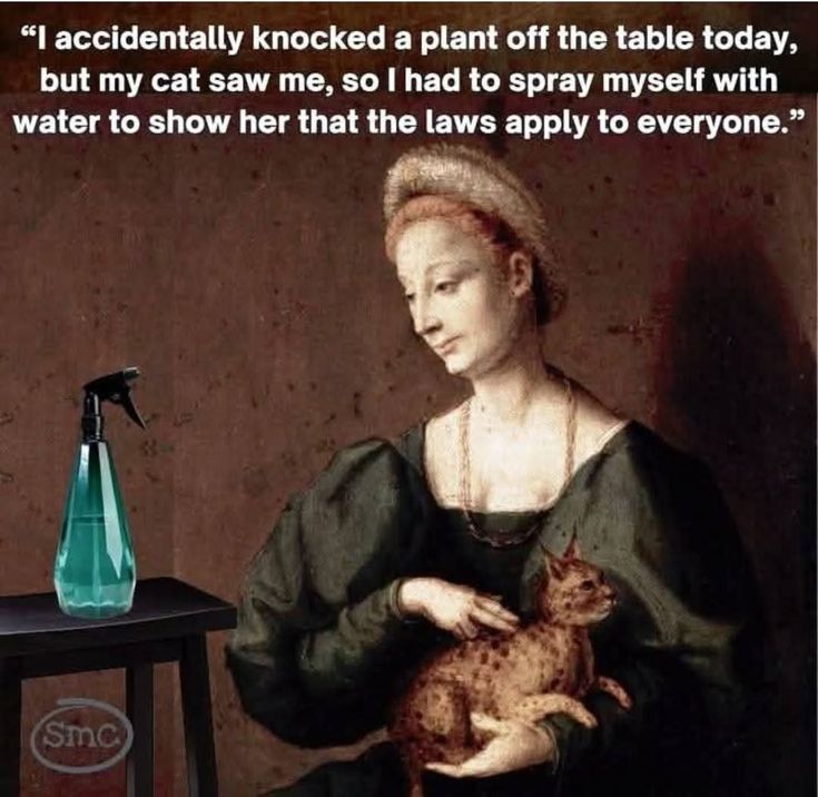 BunnieKat1962's tweet image. It's Monday so we could use a laugh or 2! 
#Funny