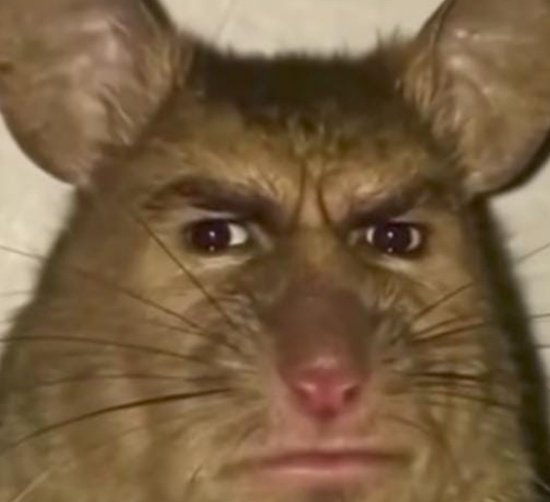 Ferris Bueller ⚔ tweet media