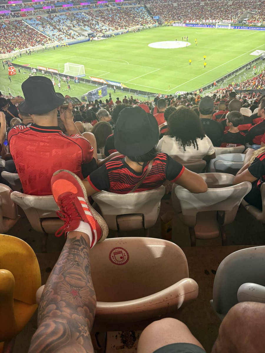 🦁 Estádio Jornalista Mário Filho