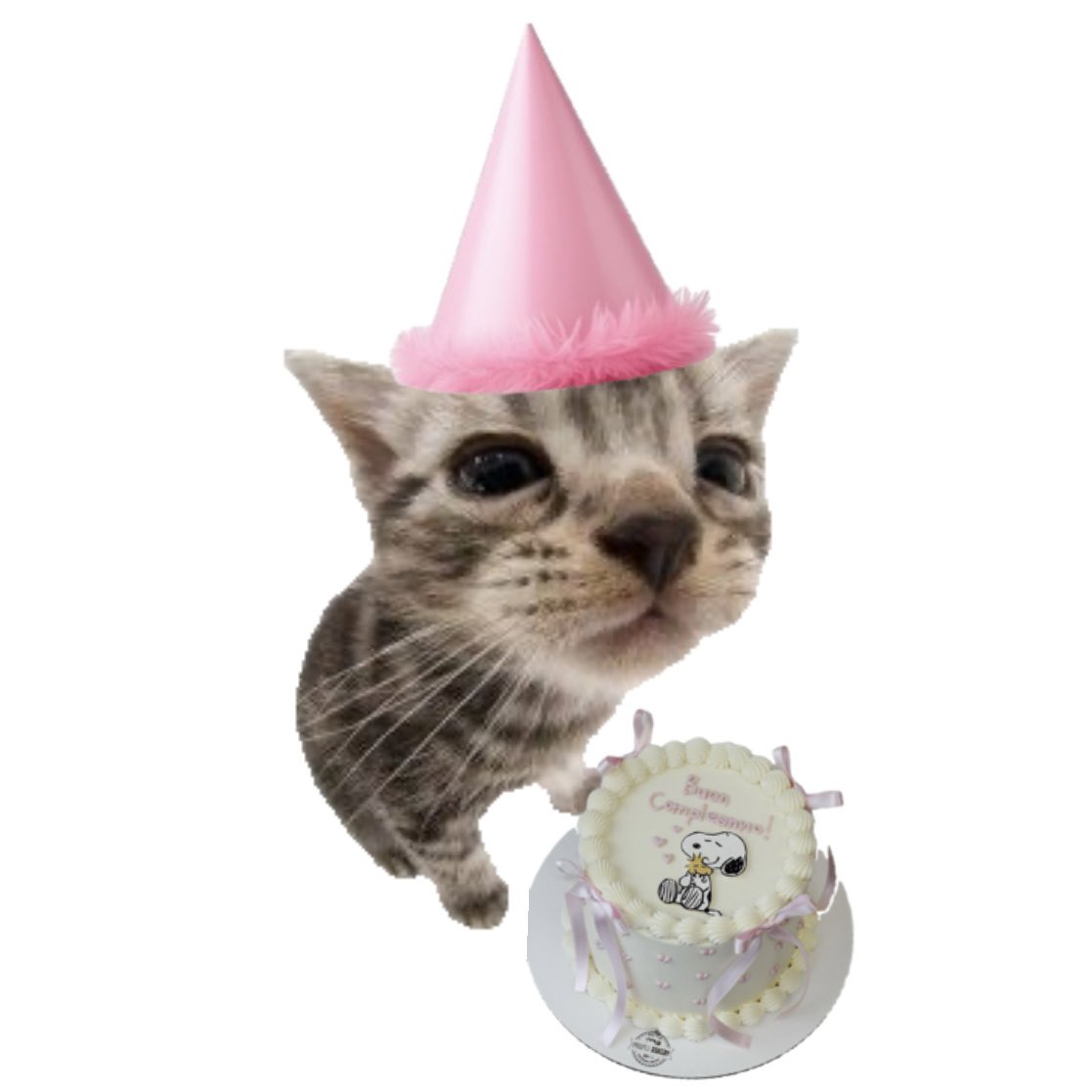 𝘚𝘩𝘶𝘯☁ tweet media