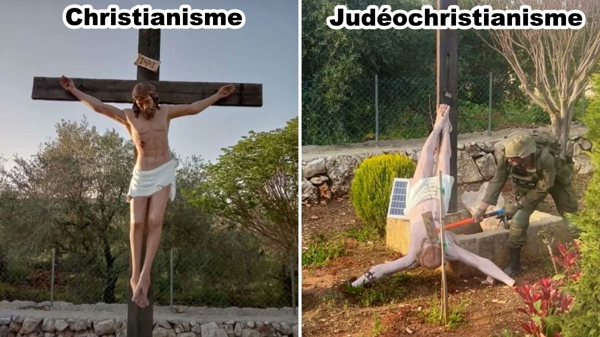 Goldo Rekk tweet media