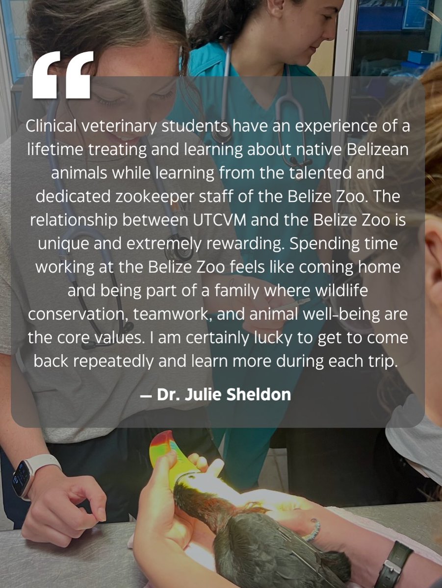 The Belize Zoo and Tropical Education Center tweet media