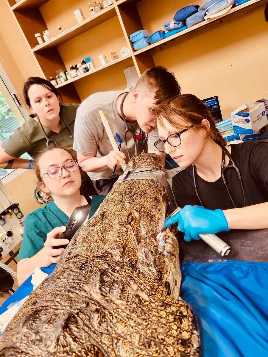 The Belize Zoo and Tropical Education Center tweet media