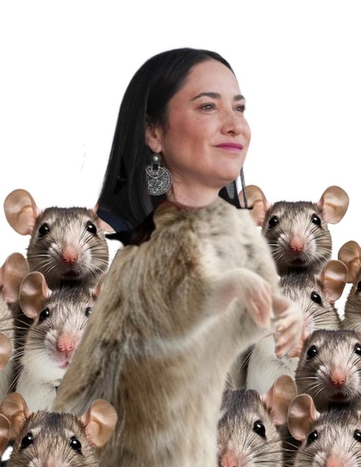 Guillermo 🤟🏼🤘🏼 tweet media