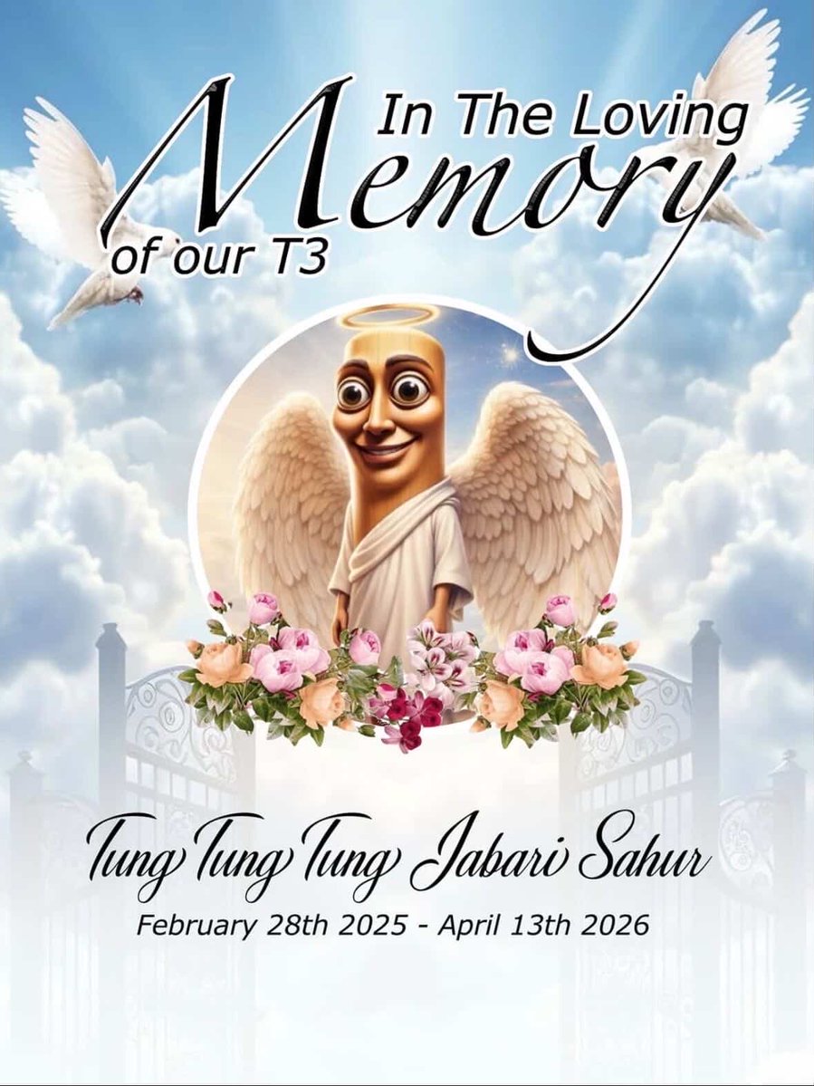 ¯\_(ツ)_/¯ tweet media