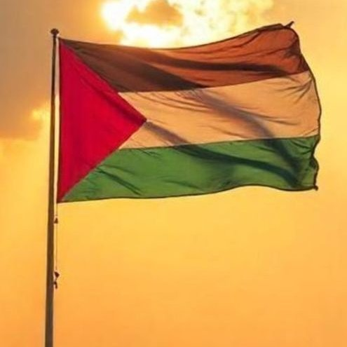 Sara Rey tweet media