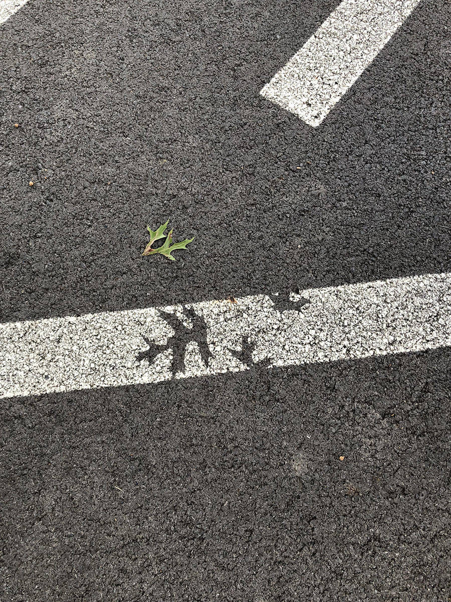 葉‥葉っぱァァァー！