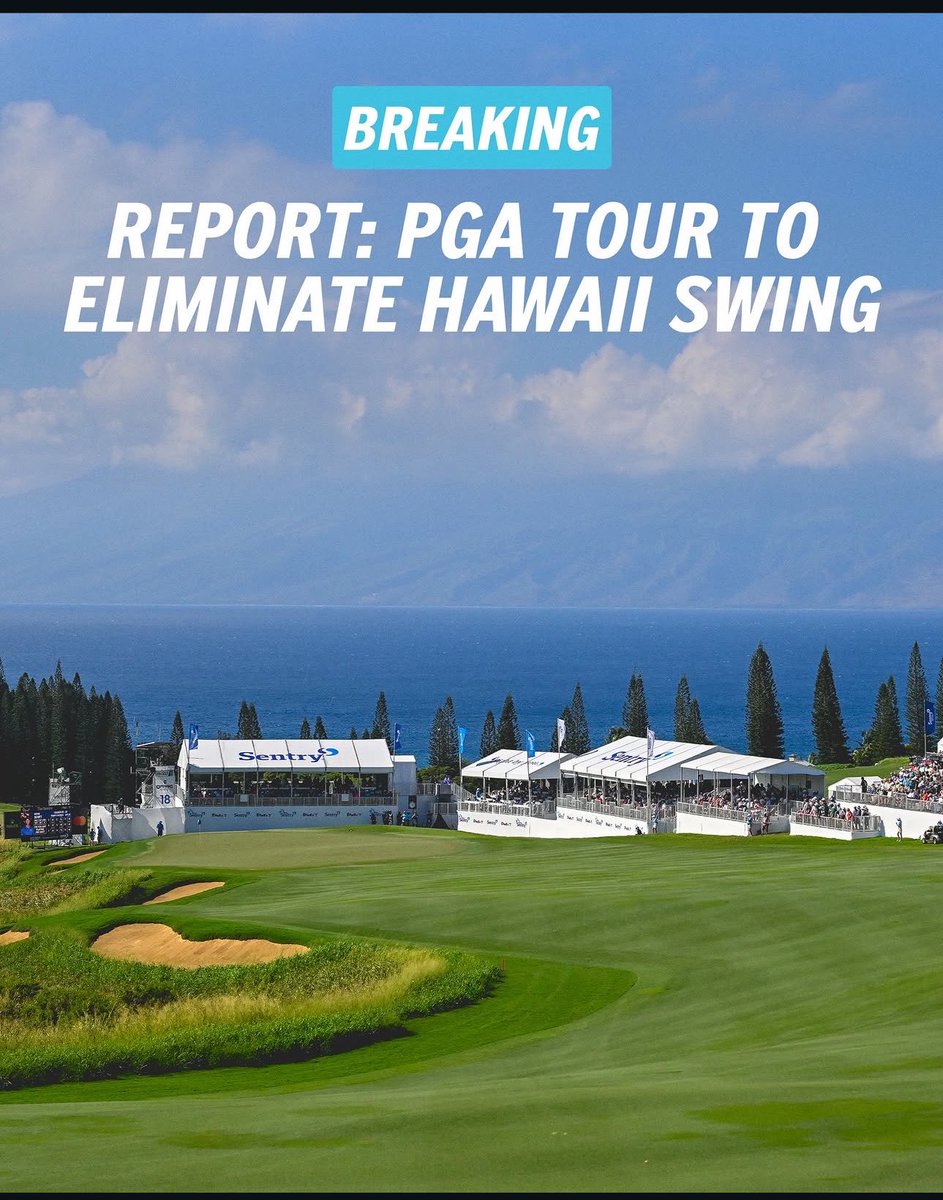 Turn Dogs Golf Pod tweet media