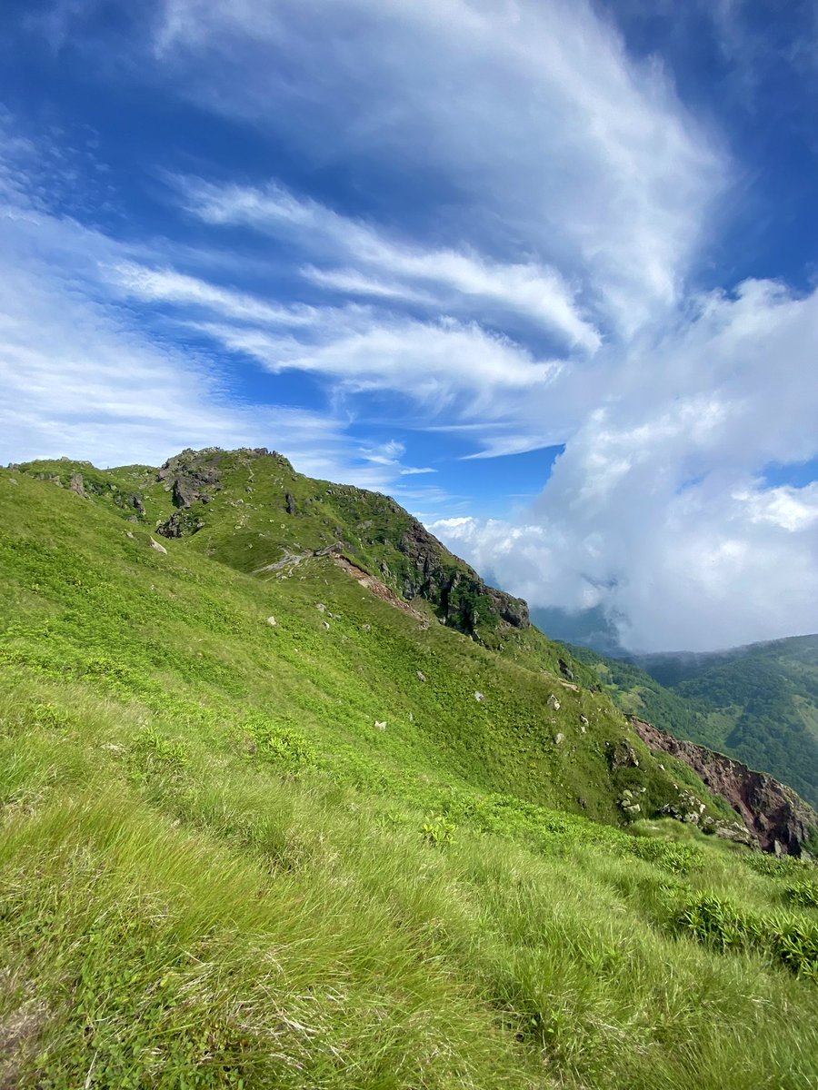 🅁🄴🄽🄾 tweet media