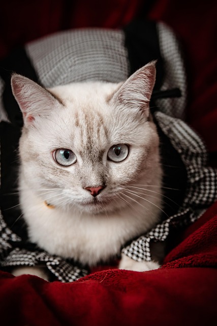 Sam Baldwin tweet media