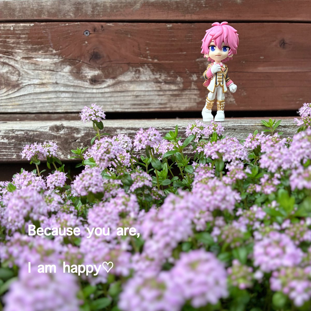 みーも🍒 tweet media