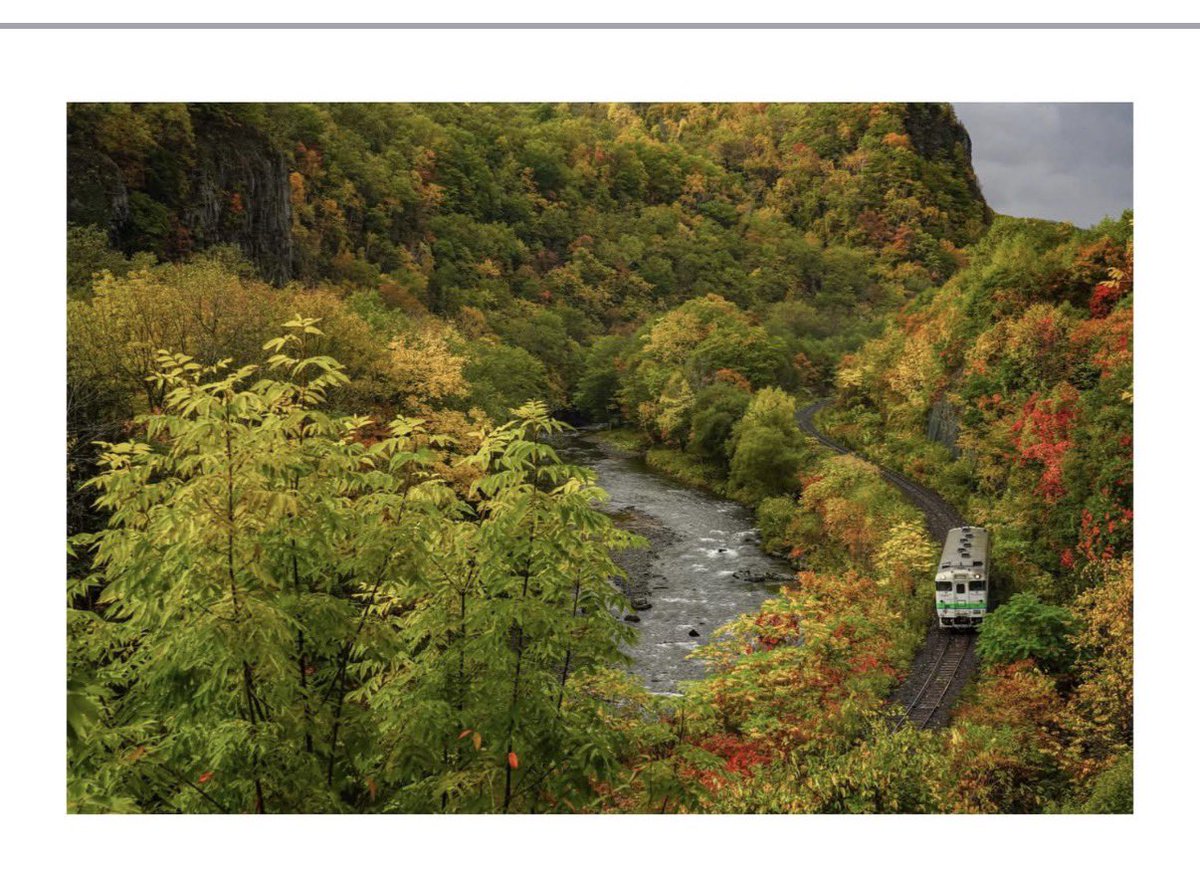 landscapes_23's tweet image. 数年前のこと…

#キハ40 #sonyalpha #写真で感じる北海道