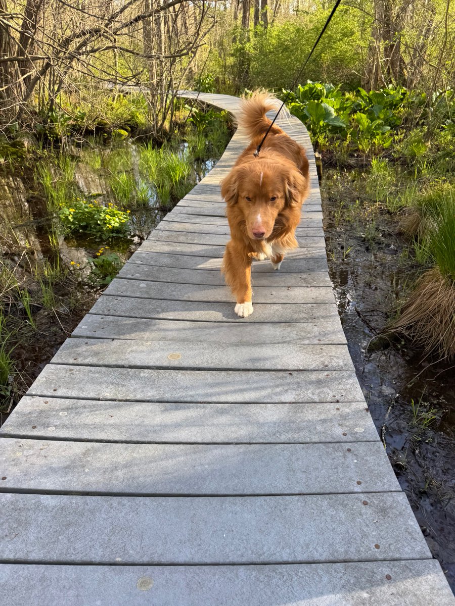 Augie (Shadow 🌈) tweet media