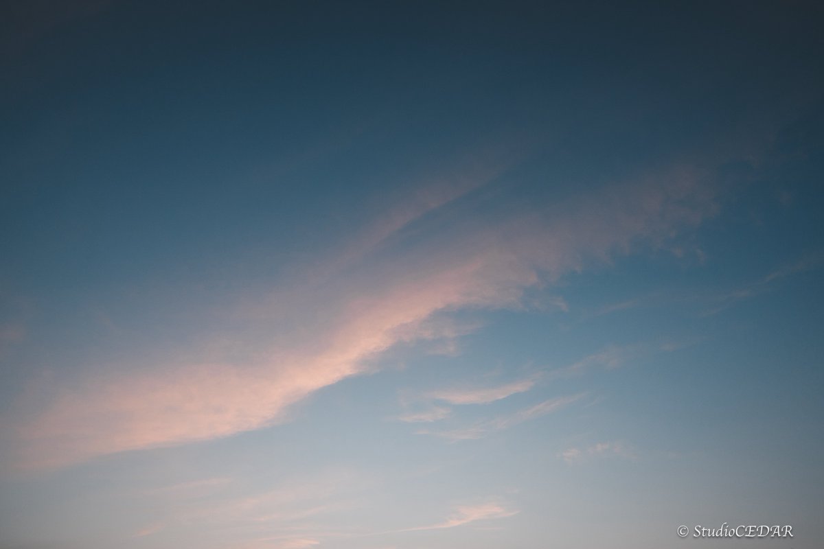 すぎっち / StudioCEDAR tweet media