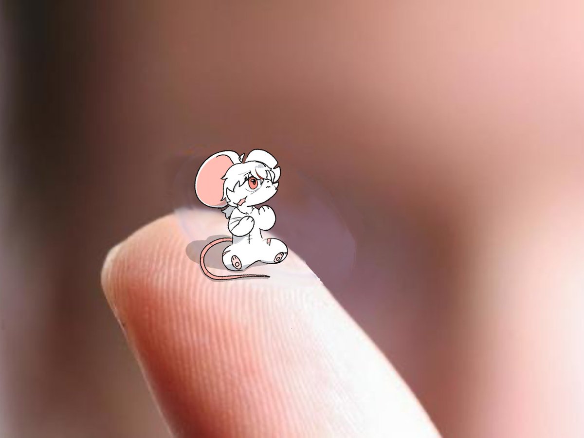 피코 / 파코,에코 🔜 playx4 tweet media