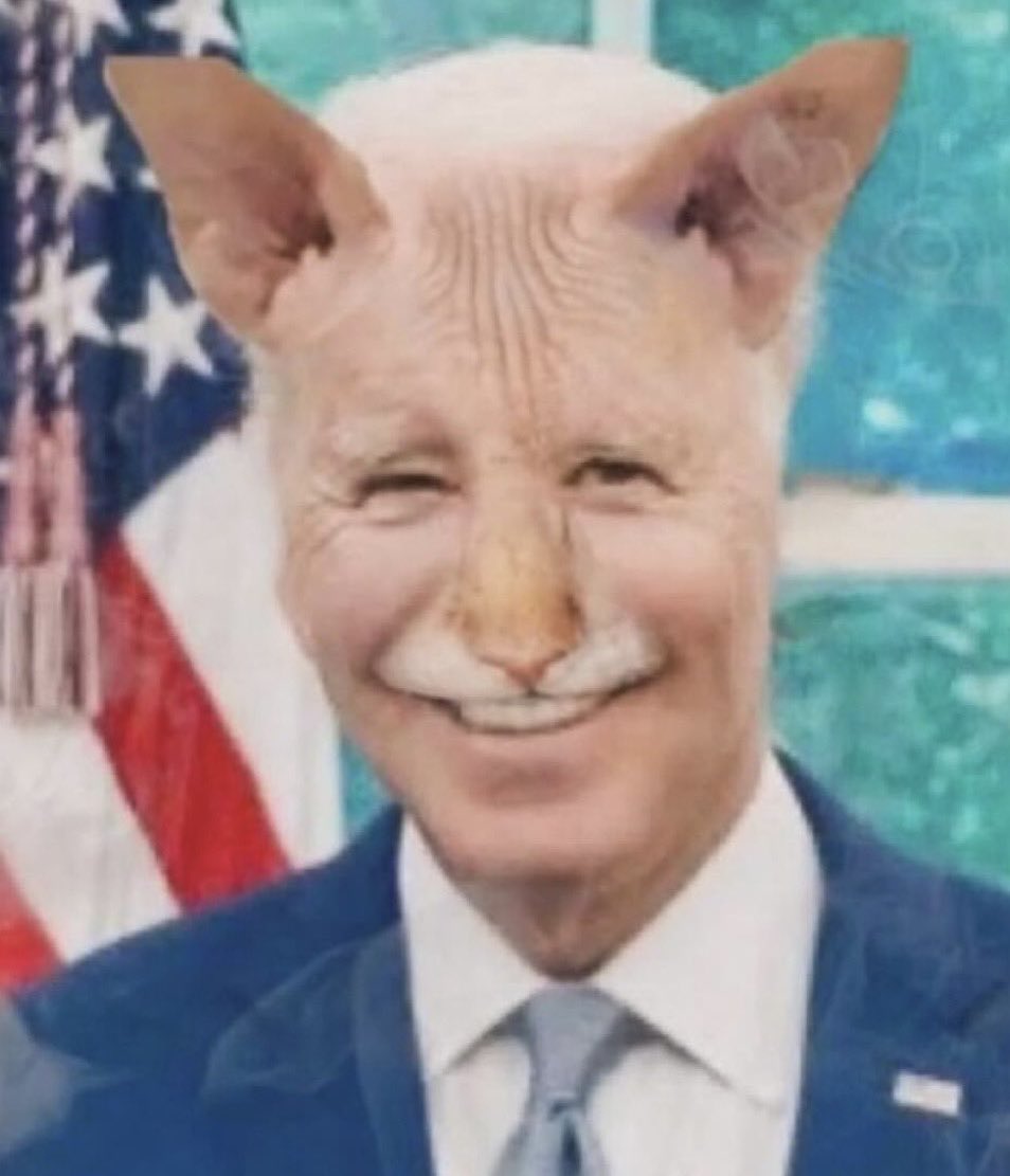 Conor D. Oil tweet media