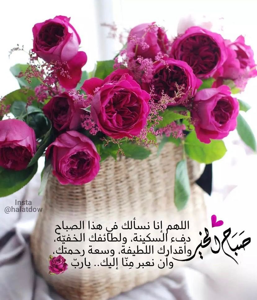 طالبة الغفران (@talebatalgofran) on Twitter photo 