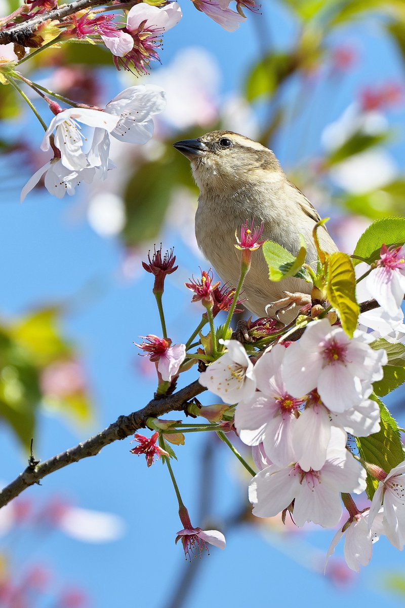 Ｚっとん tweet media