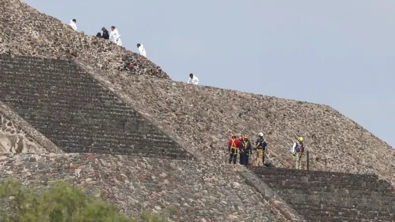 Carolina Viggiano tweet media