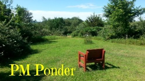 DeaconAllenT's tweet image. PM Ponder: I can do things you cannot, you can do things I cannot; together we can do great things. ~Mother Teresa #faith