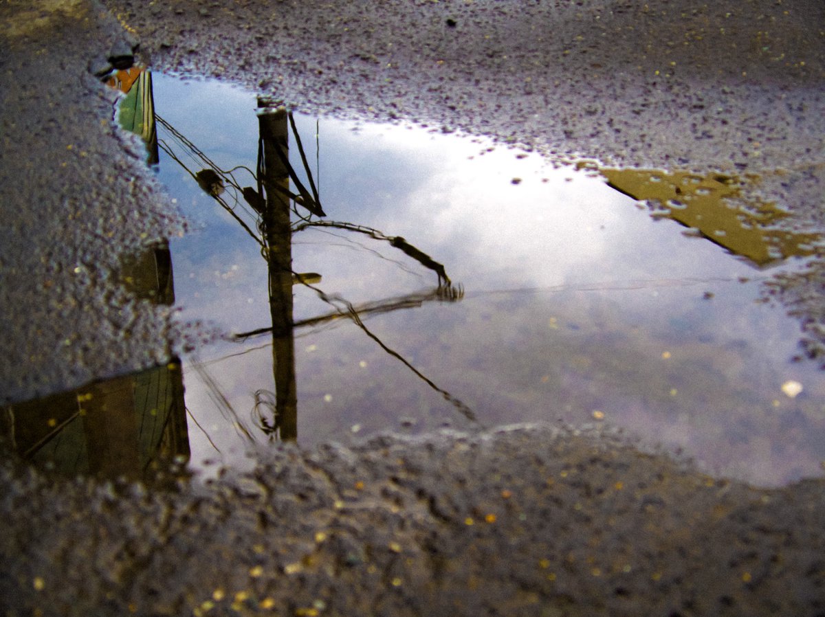 sa_hanabi's tweet image. 冷たい雨の朝

#snap