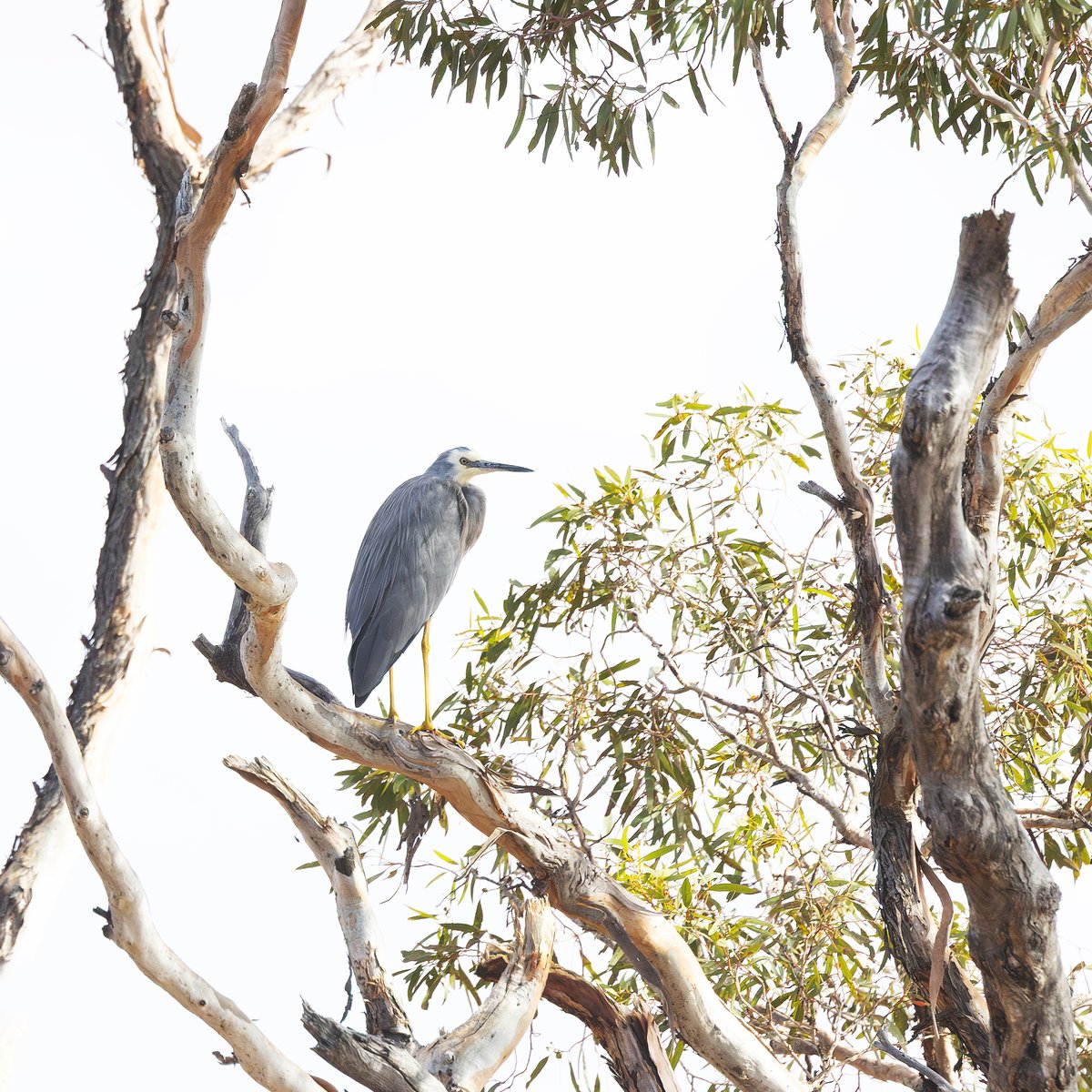 Sandy Horne tweet media