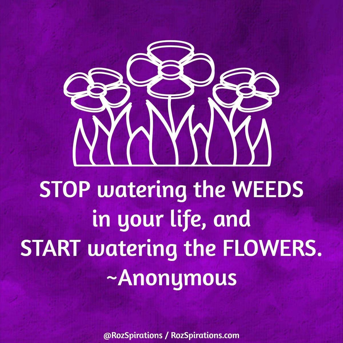 RozSpirations's tweet image. STOP watering the WEEDS in your life, and
START watering the FLOWERS. ~Anonymous

#RozSpirations #Kindness #Encouragement #Positivity #Inspiration #SelfCare #Quotes