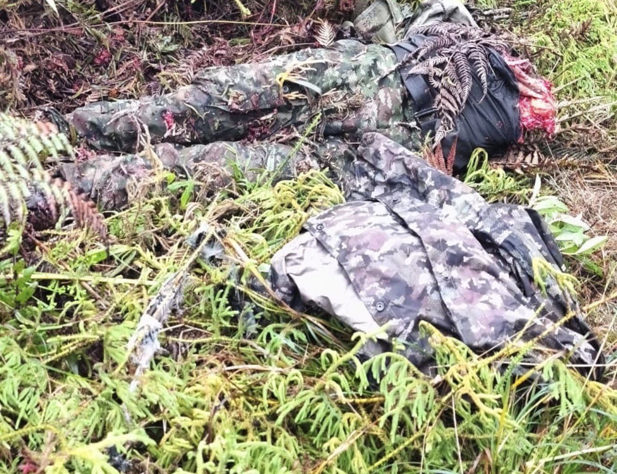 Santiago Alvarán tweet media