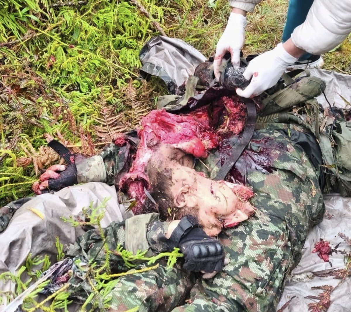 Santiago Alvarán tweet media