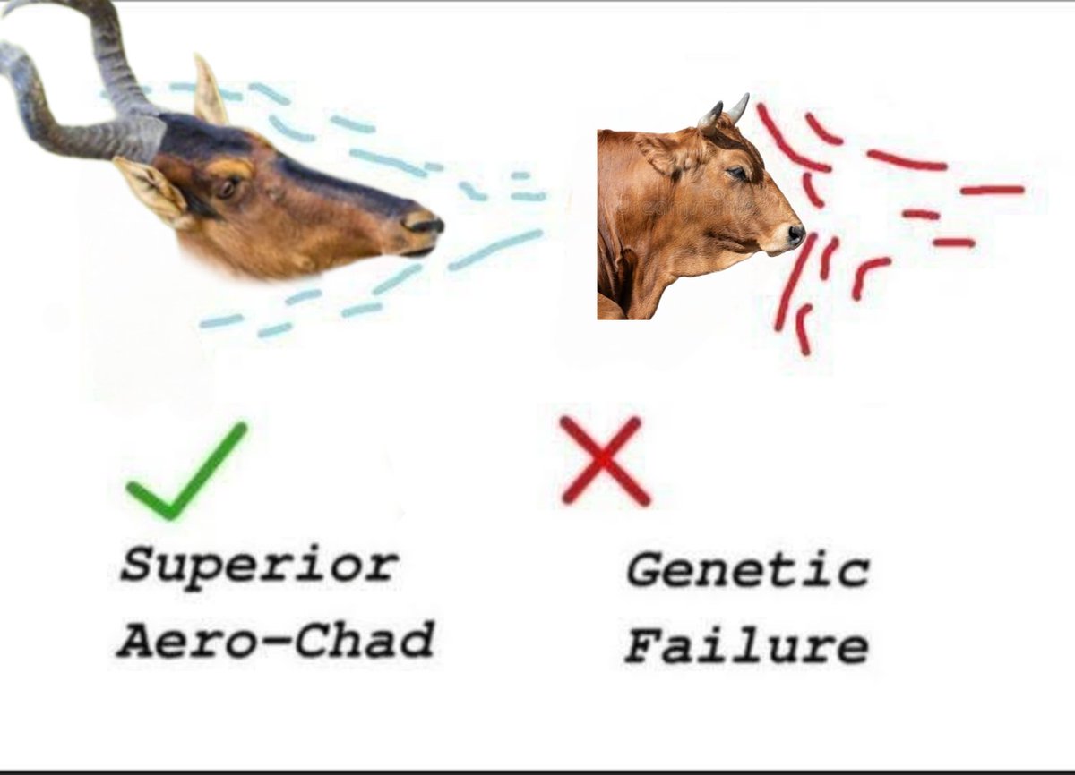 Cabrito ⛧ tweet media