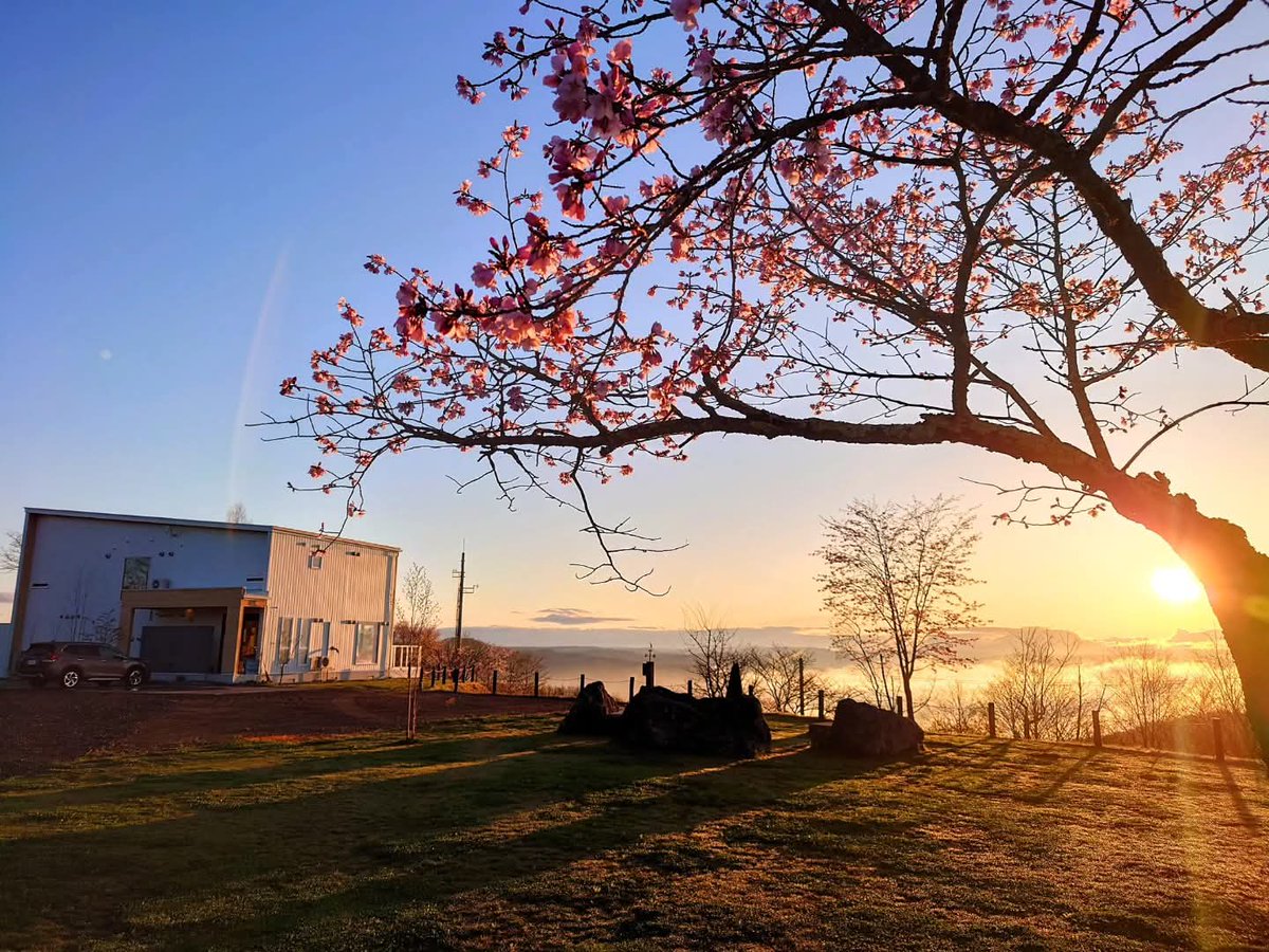 koyalab's tweet photo. 絶景キャンプ！北海道足寄町ゴールデンウィークは雲海&amp;桜
https://t.co/wxD0wRI4VO https://t.co/mIT4EGSG1n