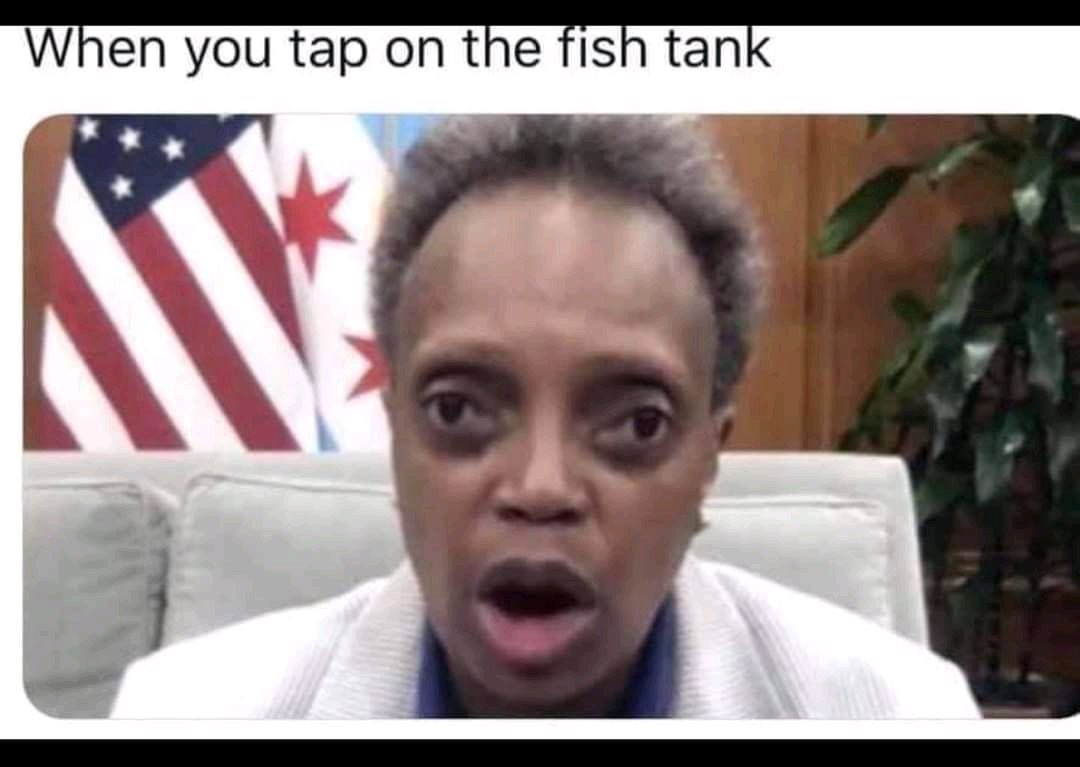 Bryan Phelps tweet media