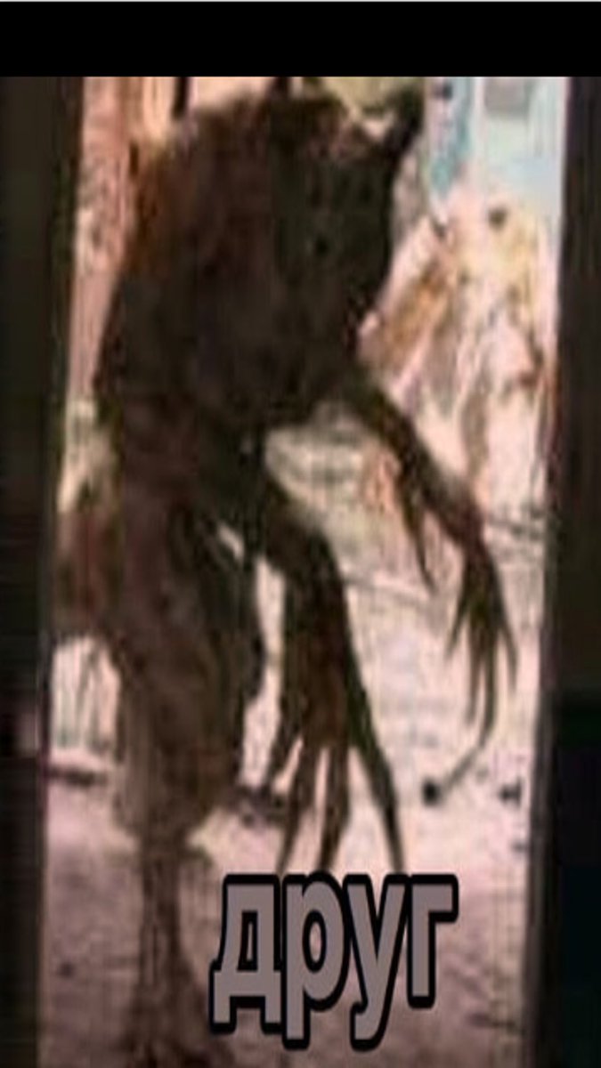 WolfgamerFortNite#TeamNinja2013 tweet media