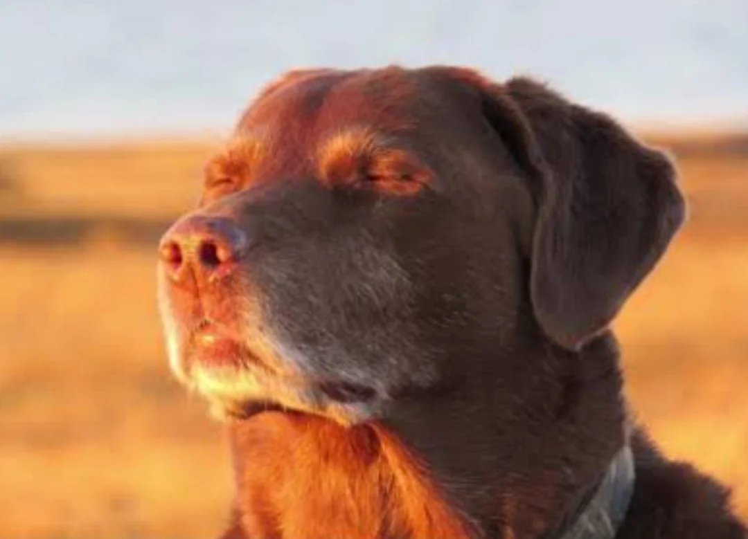 Julie ˗ ˏ ˋ ♡ ˎˊ ˗ tweet media