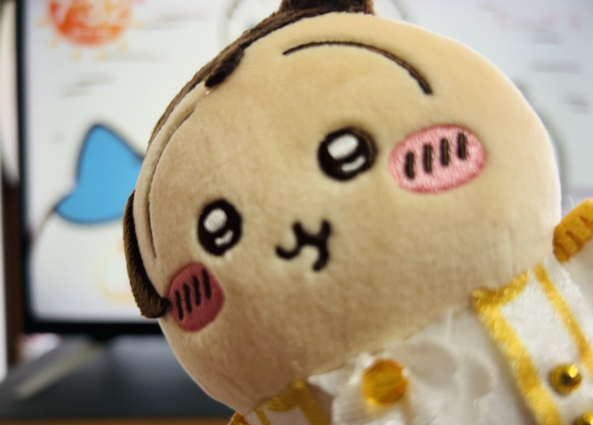 ちぃ☆ハム tweet media