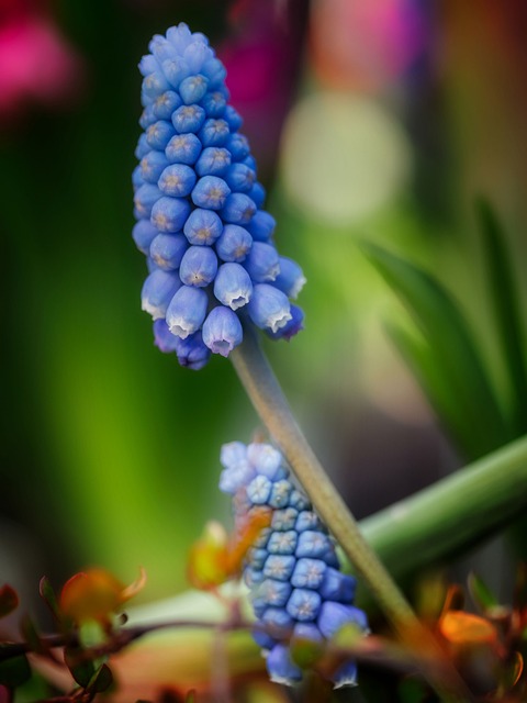 JiosMancy's tweet image. Live free from inner turmoil, unburdened by emotional baggage. Embrace the future without fear, let go of the past. Find peace in the present moment. 🙏  #wisdom #mindfulness #inspiration