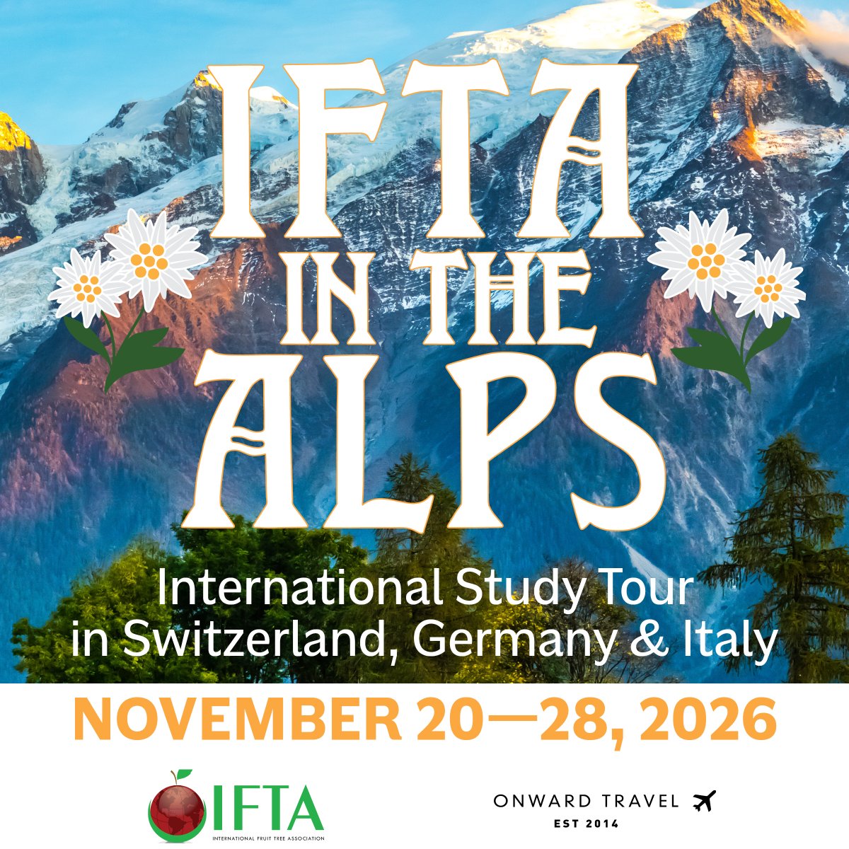 IFTA tweet media